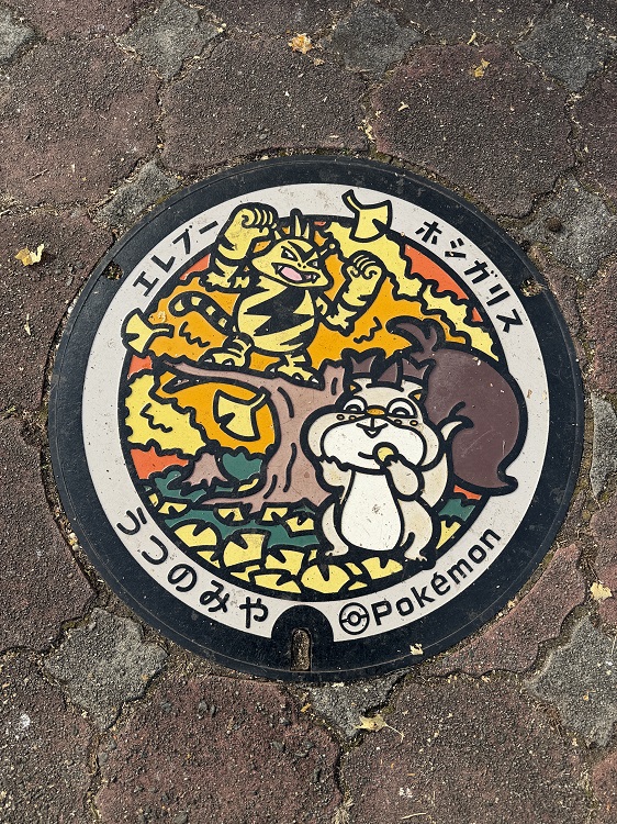 エレブーとホシガリス