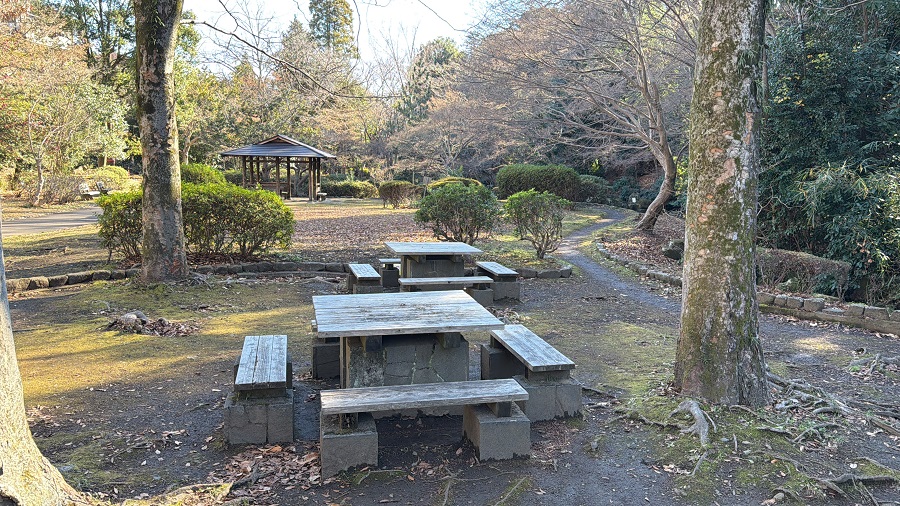 椅子とテーブル