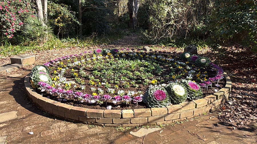 整備された花壇